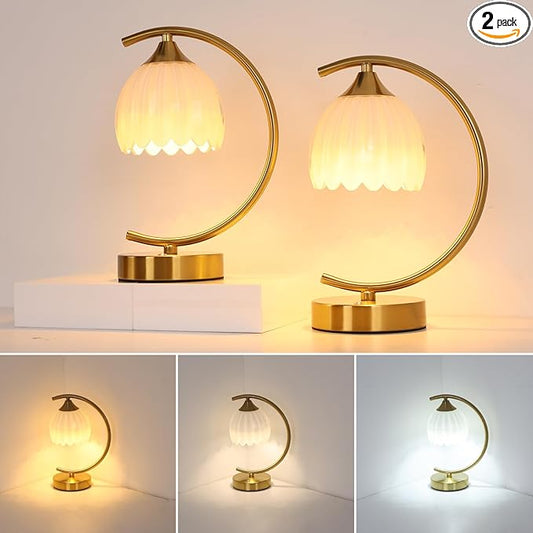 Set of 2 Tulip Table Lamp, 5200mAh Cordless Touch Control Table Lamps with 3 Color Temps & Stepless Dimming, Rechargeable Battery Table Lamp for Living Room, Bedroom, Shelf (White Tulip)