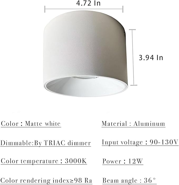 LED Dimmable Ceiling Spotlight Aluminum White 4.72" Cylinder Spot Light Indoor Modern Minimalist Focus Accent Down Light for Cylinder Hallway Kitchen Foyer CRI 98 12W 3000K