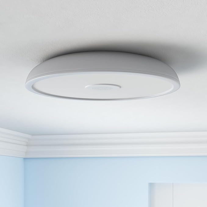 Smart Waterproof LED Flush Mount Ceiling Light Fixture,with Bluetooth Speaker,11 Inch,18 watt,Dimmable Music Lamp,RGB Color Changing Light with Remote Control,for Bathroom,Shower,Bedroom