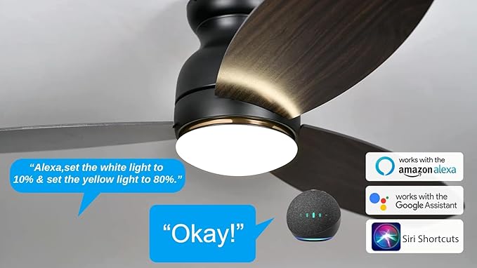 Carro Ceiling Fan with Lights, Indoor & Outdoor Ceiling Fan, 52" Low Profile DC Smart, Compatible with Alexa, Siri, Google Home & Smart APP, 2 Colors of Reversible Blades, Dark Walnut & Wood