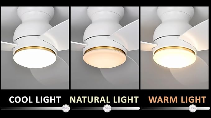 Carro Ceiling Fan with Lights, Indoor & Outdoor Ceiling Fan, 52" Low Profile DC Smart Ceiling Fan Compatible with Alexa, Siri, Google Home & Smart APP, White