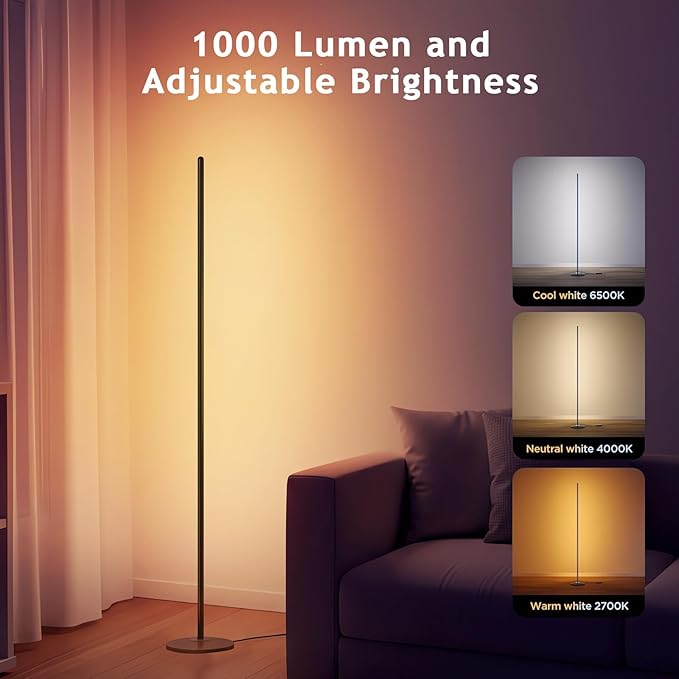 RGB+IC Floor Lamp with App Control 1000 Lumens Smart LED Corner Lamp Music Sync 16 Million DIY Colors for Living Room & Bedroom Black