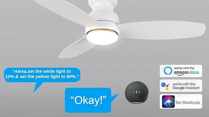 Carro Ceiling Fan with Lights, Indoor & Outdoor Ceiling Fan, 48" Low Profile DC Smart Ceiling Fan Compatible with Alexa, Siri, Google Home & Smart APP, 2 Colors of Reversible Blades,White