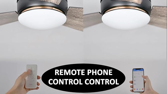 Carro Ceiling Fan with Lights, Indoor & Outdoor Ceiling Fan, 60" Low Profile DC Smart, Compatible with Alexa, Siri, Google Home & Smart APP, 2 Colors of Reversible Blades, Dark Walnut & Wood