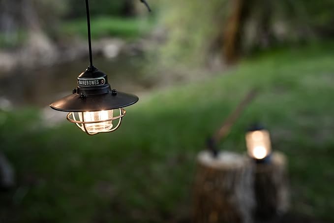 Barebones Edison Pendant Light – Antique Bronze, Vintage Rustic USB LED Hanging Light for Outdoor and Indoor Use – Adjustable Height String Lantern with Warm Edison Bulb Glow for Patio, Home, Garden