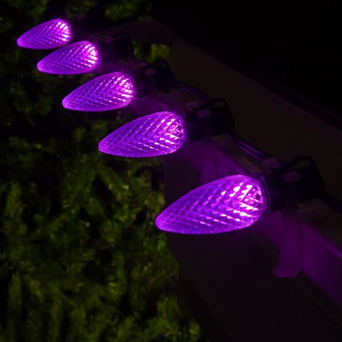 Wintergreen Lighting 25 OptiCore Commercial Outdoor C9 LED Outdoor Christmas Halloween Lights – 25 ft Purple, 3-Year Warranty, Polycarbonate, Commercial Shatterproof