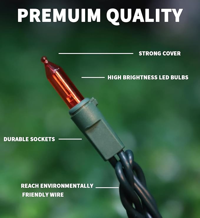LAMPHOME 21.6ft 100 LED Red Valentine Lights, Connectable Valentine Room Light Indoor Plug-in, Green Wire Red Christmas String Light Outdoor Waterproof for Valentines Day Bedroom, Party,Wedding
