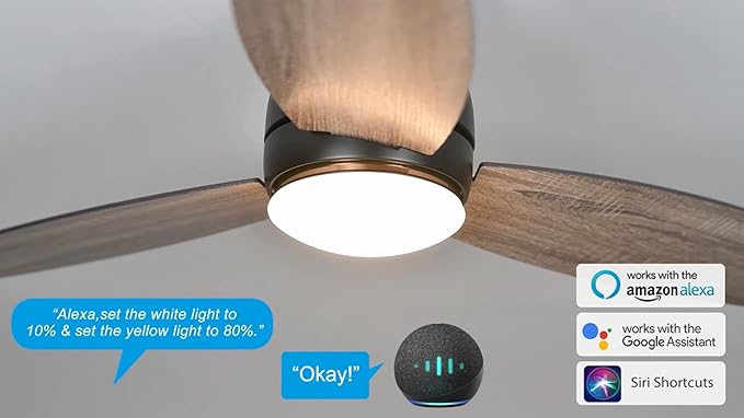 Carro Ceiling Fan with Lights, Indoor & Outdoor Ceiling Fan, 48" Low Profile DC Smart, Compatible with Alexa, Siri, Google Home & Smart APP, 2 Colors of Reversible Blades, Dark Walnut & Wood