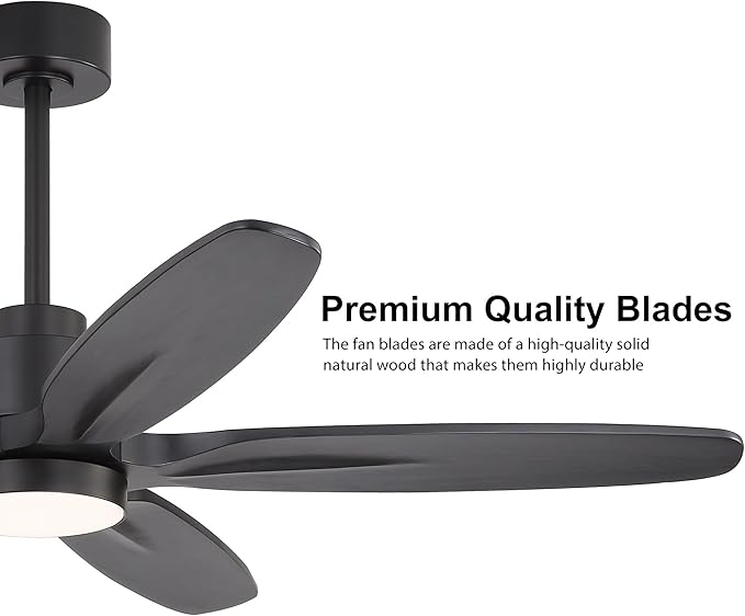 WINGBO 54" Ceiling Fan with Light - 5 Carved Solid Wood Blades, 6-Speed Reversible DC Motor, Dimmable, 3CCT, Noiseless Remote Control Ceiling Fans with Lights for Bedroom Living Room, Matte Black