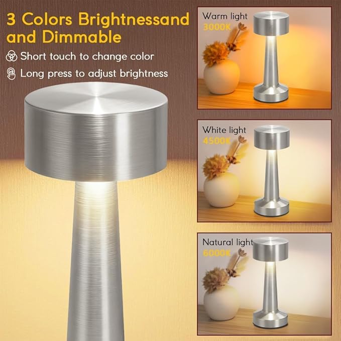 Portable LED Table Lamp, 3-Levels Brightness Metal Desk Lamp,3 Color Touch Control Rechargeable Lamp, Ideal Bedside Lamp for Nightstand,Bedroom, Living Room (Silver)