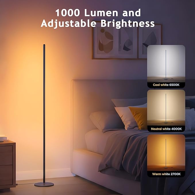 RGB+IC Floor Lamp with App Control 1000 Lumens Smart LED Corner Lamp (Black 2pack)