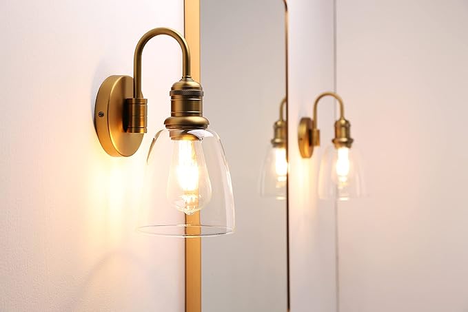 1-Light Vintage Gooseneck Wall Sconce Lamp with Cloche Clear Glass Shade, Industrial Indoor Wall Light Fixture for Bathroom Living Room Bedroom Over Kitchen Sink