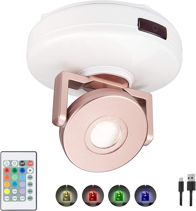 BIGMONAT Wireless LED Spotlight Battery Powered, Dimmable Accent Lighting for Picture Artwork, Rechargeable Color Changing Up Light for Painting Tree Plant Dartboard with Remote and Timer