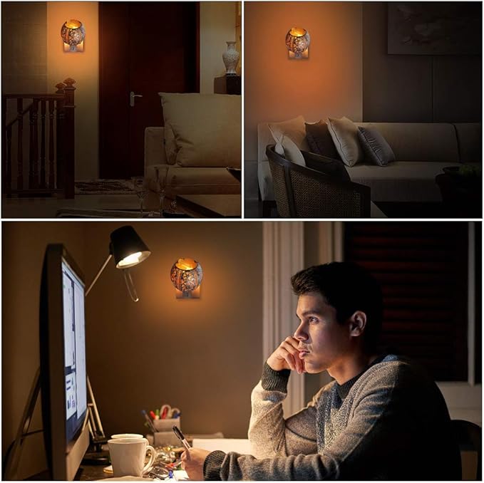 Salt Night Light,Natural Wall Light Salt Lamp with 2 Bulbs, Himalayan Rocks Salt Lamp with Spherical Metal Basket Gift