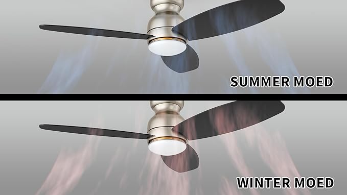 Carro Ceiling Fan with Lights, Indoor & Outdoor Ceiling Fan, 52" Low Profile DC Smart Ceiling Fan Compatible with Alexa, Siri, Google Home & Smart APP, 2 Colors of Reversible Blades, Silver