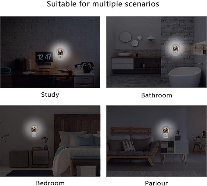 Rooster Farmhouse Night Light 2 Pack Dusk to Dawn Sensor Led Lamp for Women Men Night Lights Plug into Wall Decor for Bedroom Kitchen Corridor, 0.5W