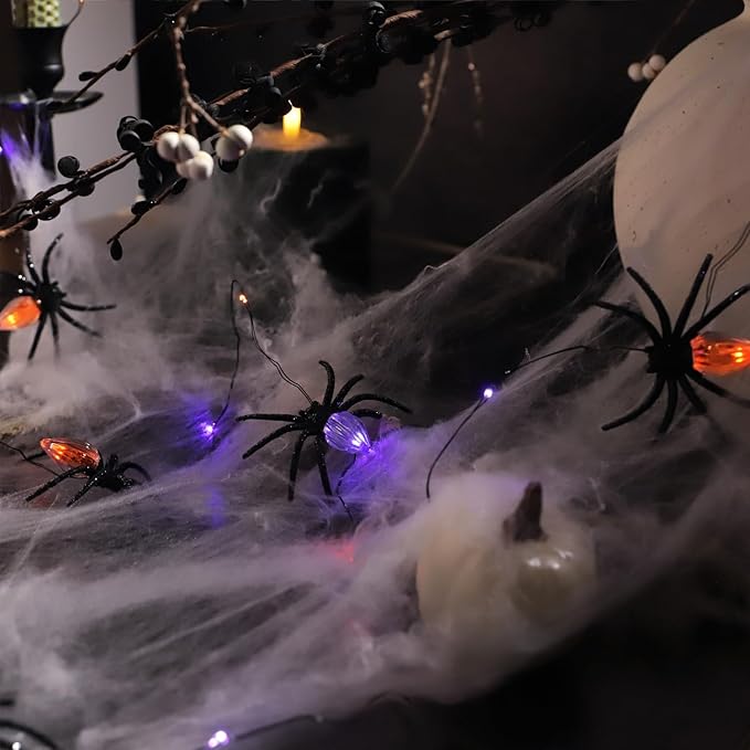 Nature Rattan Pumpkin String Lights Fall Garland with Lights Battery Operated with Remote - Perfect Thanksgiving Halloween Fall Decorations (Spider Fairy)