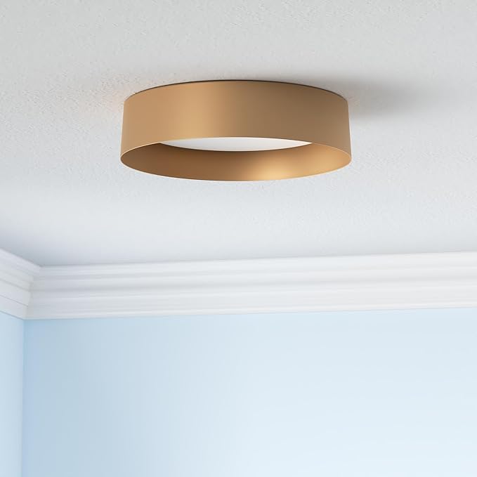 Bargeni Flush Mount Ceiling Light, 16.5 inch LED Ceiling Light Fixture, Polished Gold Finish, Dimmable/3000K/18W, Outdoor Flush Mount Lighting Fixture