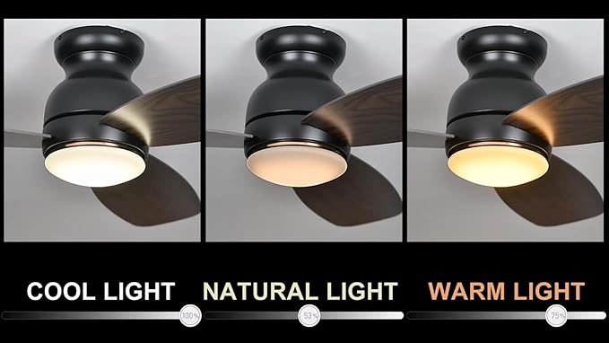 Carro Ceiling Fan with Lights, Indoor & Outdoor Ceiling Fan, 44" Low Profile DC Smart Ceiling Fan Compatible with Alexa, Siri, Google Home & Smart APP, Dark Walnut