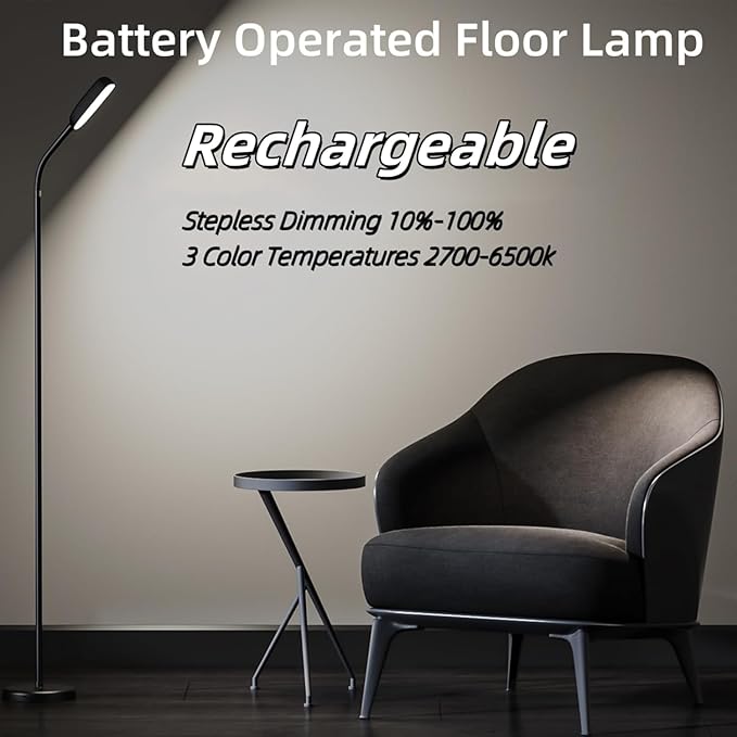Cordless Floor Lamp, Rechargeable Battery Portable Floor Lamp for Living Room, Battery Operated Lamp, Touch Control for Reading Camping, 3 Color Temperatures Emergency Lighting(Black)