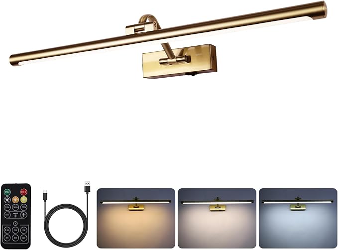 5W LED Wireless Picture Lights with Remote and Timer 23.6 Inch Rechargeable Brass Gallery Lighting Battery Operated Art Lights Over Frame Portrait
