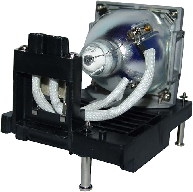 Advanced Lamps™ Lamp & Housing for The Barco RLM-W12 Projector