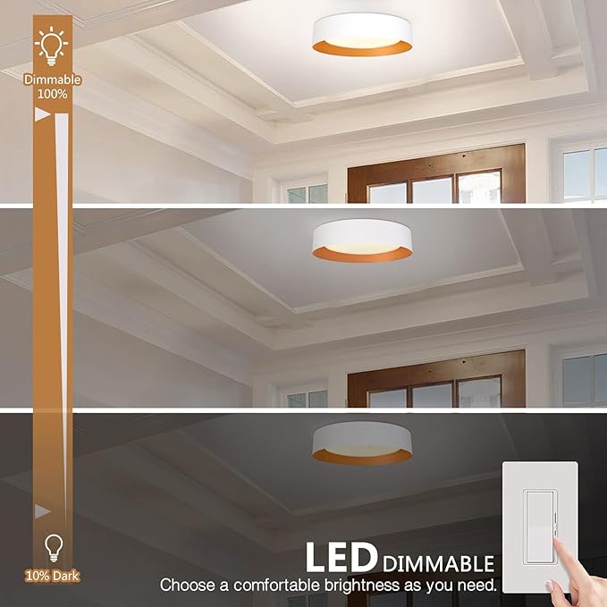 Bargeni 16.5 inch Dimmable LED Flush Mount Ceiling Light, Matte White with Gold Inside, 3000K/Warm White/30W, Modern Light Fixture for Closet and Hallway