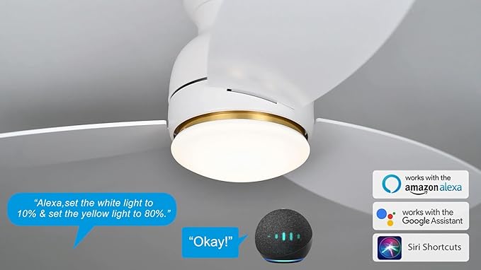 Carro Ceiling Fan with Lights, Indoor & Outdoor Ceiling Fan, 52" Low Profile DC Smart Ceiling Fan Compatible with Alexa, Siri, Google Home & Smart APP, White