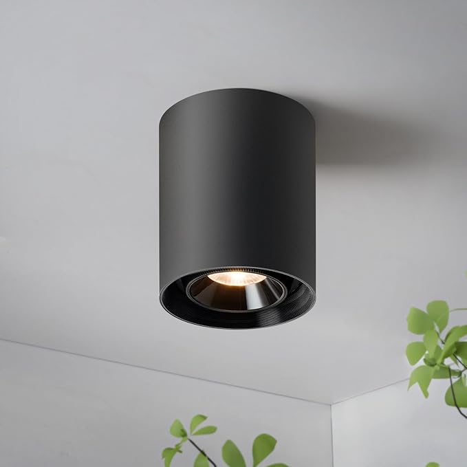 OKELI Black Modern LED Dimmable Ceiling Light Fixtures for Hallway Kitchen Entryway, 20W 1300LM 2700K-6000K Flush Mount Close to Ceiling Lighting, Cylinder Ceiling Lamps for Living Room 1pack