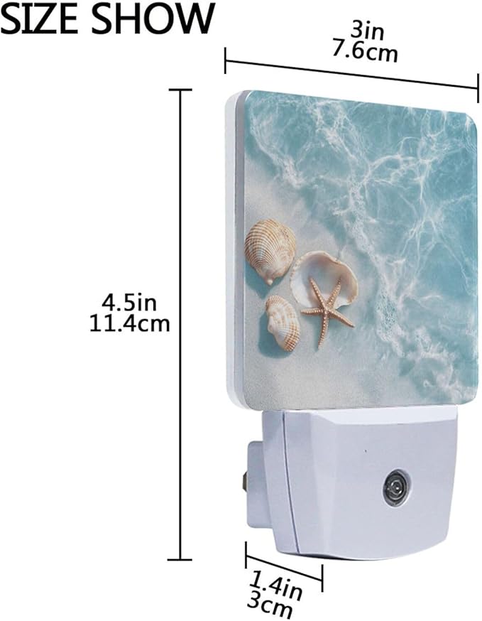 Blue Beach Shells Night Light 2 Pack Dusk to Dawn Sensor Led Lamp for Women Men Night Lights Plug into Wall Decor for Bedroom Kitchen Bathroom Corridor, 0.5W