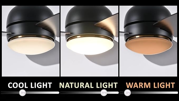 CEME 44 Inches Black Ceiling Fan with Light Flush Mount, DC 10 Speeds Silent Ceiling Fan with Remote, 3 Dual Finish Blades, 3 Light Colors Dimmable LED for Living Room, Bedroom