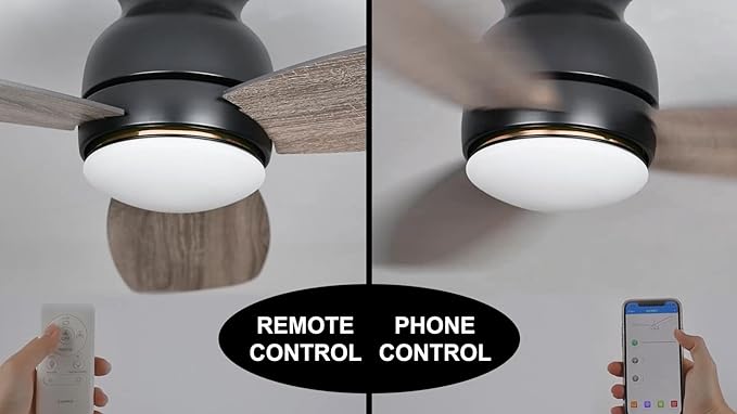 Carro Ceiling Fan with Lights, Indoor & Outdoor Ceiling Fan, 44" Low Profile DC Smart, Compatible with Alexa, Siri, Google Home & Smart APP, 2 Colors of Reversible Blades, Dark Walnut & Wood