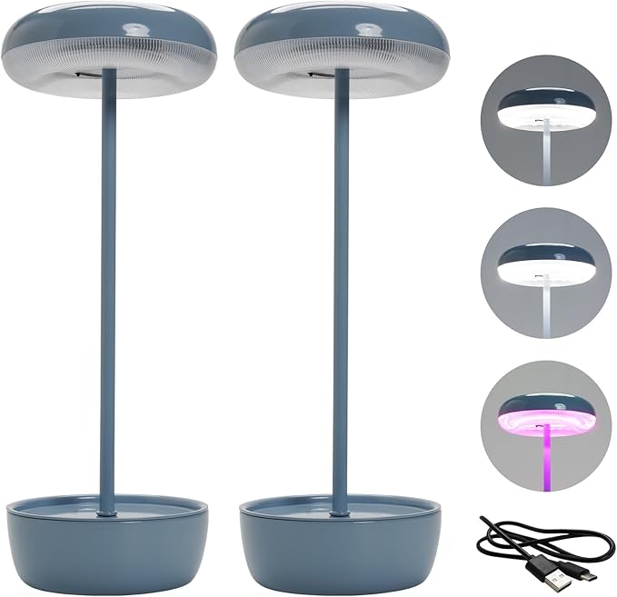 Solar Yard Outdoor Table Lamp, Cordless USB Solar Table Lamp for Patio Water Resistant, 3 Lighting Modes Solar Desk Lamp for Garden Outside Patio Bedroom Living Room, Blue