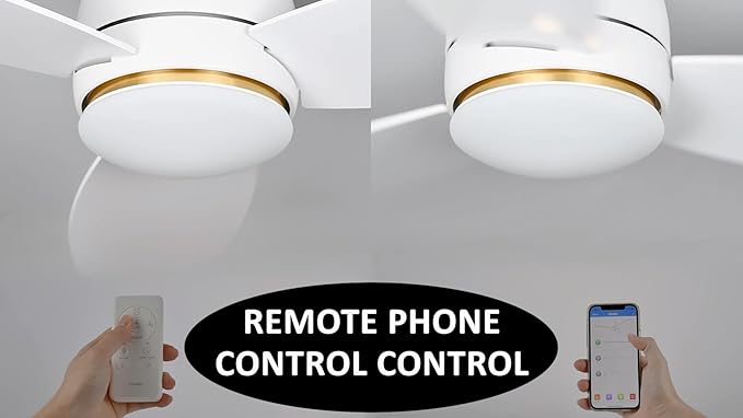 Carro Ceiling Fan with Lights, Indoor & Outdoor Ceiling Fan, 52" Low Profile DC Smart Ceiling Fan Compatible with Alexa, Siri, Google Home & Smart APP, White