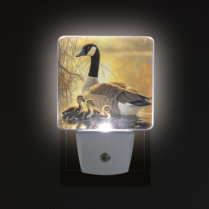 Canada Geese and Goslings Night Light 2 Pack Dusk to Dawn Sensor Led Lamp for Women Men Night Lights Plug into Wall Decor for Bedroom Kitchen Bathroom Corridor, 0.5W