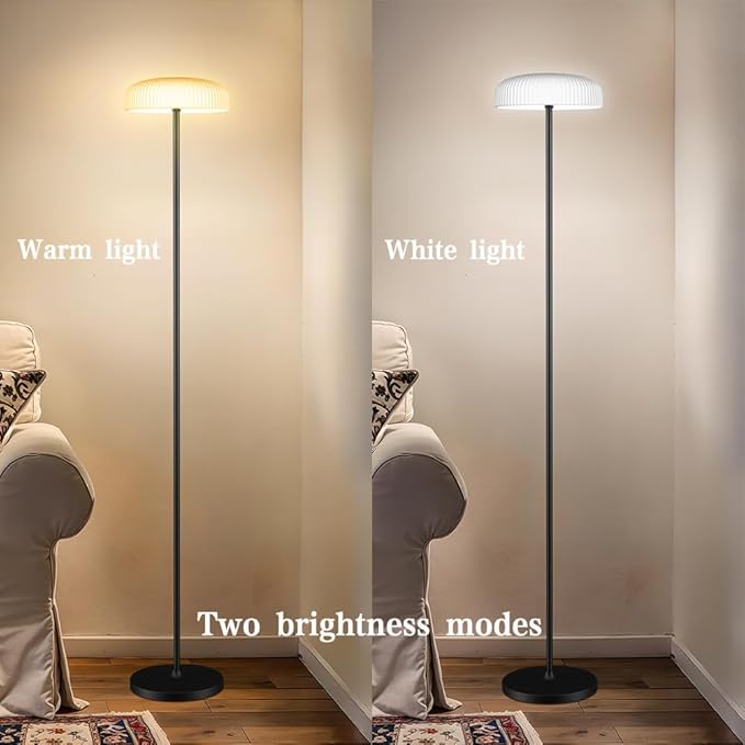 Remote Control Solar Floor Lamp Indoor Outdoor, Cordless IP65 Waterproof Dimmable Touch USB Charging with Metal Stand, Warm/White for Garden Patio