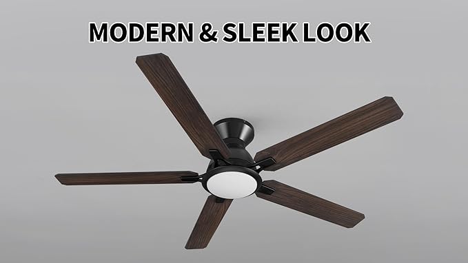 CEME Ceiling Fans with Lights, 10 Speeds DC Ceiling Fan with Remote, Modern 3 Light Colors Dimmable Low Profile for Bedroom, Living room, 52 inches, Black