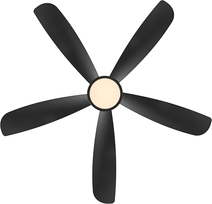 52" Outdoor Ceiling Fan with Light and Remote, ABS Blades, Low Profile Flush Mount Ceiling Fan, Dimmable LED light, Noiseless Reversible DC Motor Black