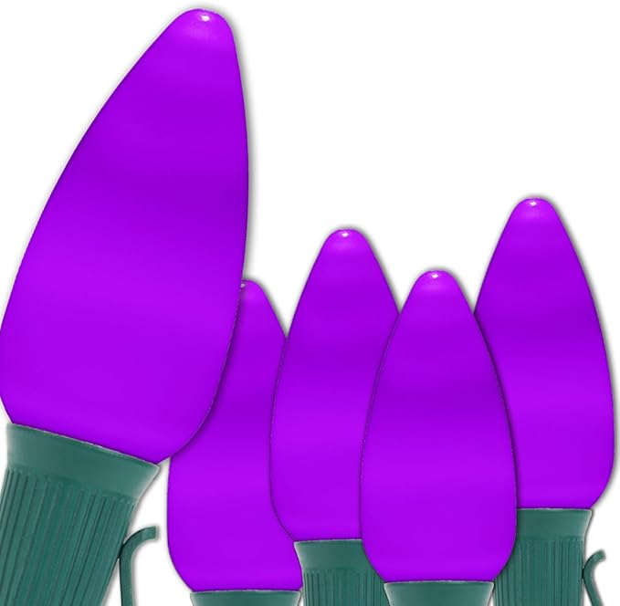 Wintergreen Lighting OptiCore Commercial Outdoor C9 LED Halloween Lights – 25 Lights, 25 ft Purple Smooth/Opaque String, 18 Gauge, SPT1, Spare Fuse