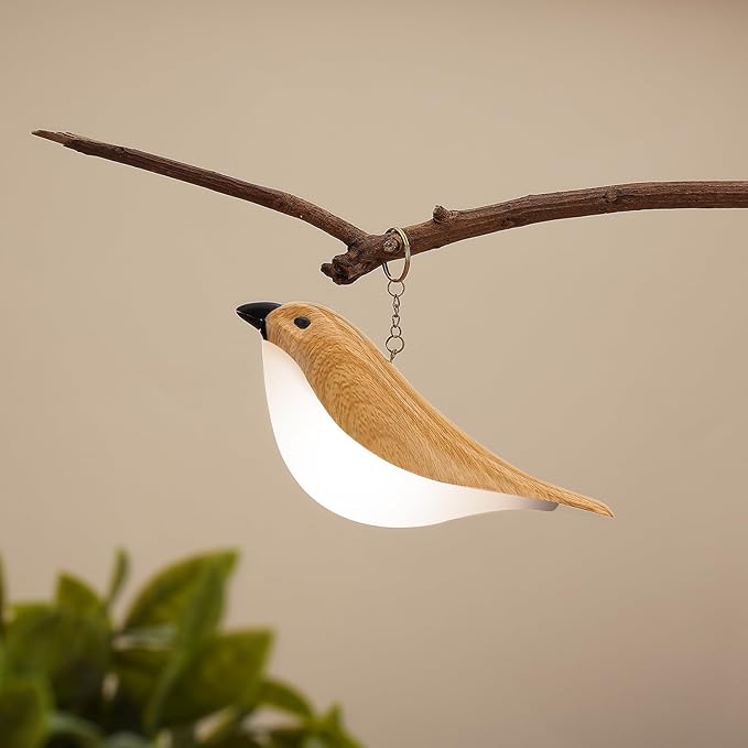 Cute Bird Table Lamp with Timer, Touch Bedside Lamp, Brid Night Light, Cordless Small Desk Lamps Battery Operated Nightstand Lamps, 3-Way Dimmable Light, Rechargeable Decorative Desk Lamp