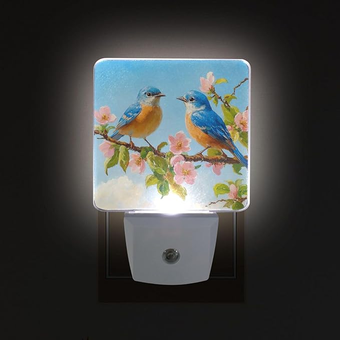 Spring Bird Night Light 2 Pack Dusk to Dawn Sensor Led Lamp for Women Men Night Lights Plug into Wall Decor for Bedroom Kitchen Corridor, 0.5W