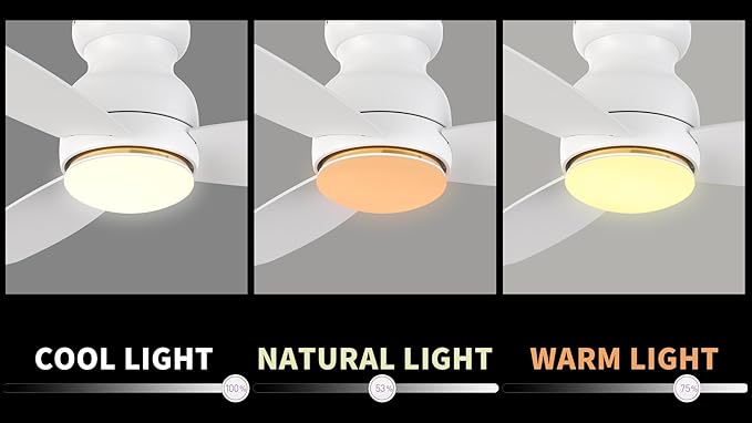 Carro Ceiling Fan with Lights, Indoor & Outdoor Ceiling Fan, 48" Low Profile DC Smart Ceiling Fan Compatible with Alexa, Siri, Google Home & Smart APP, 2 Colors of Reversible Blades,White