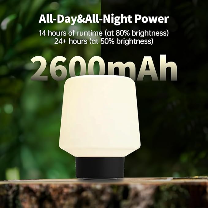 CordlessCute Outdoor Warterproof,Dimmable,Touch Control,Adjustable Brightness and Color Temperature,LED Memory Function,Rechargeable Table Lamp,Desk Lamp, Bedroom Bathroom Patio Camping