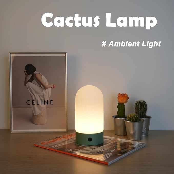 Battery Operated Shower Lamp Waterproof, Small Portable Cordless Table Lamp Rechargeable, Touch Dimmable Mood Light for Home/Patio/Dining/Outdoor (Orange)