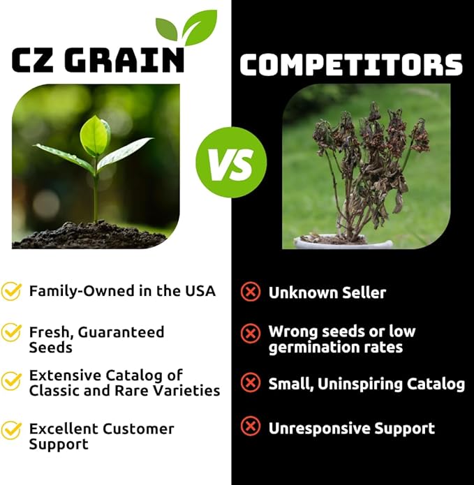 20 Mixed Tulip Flower Bulbs - Breeders Choice - Easy to Grow