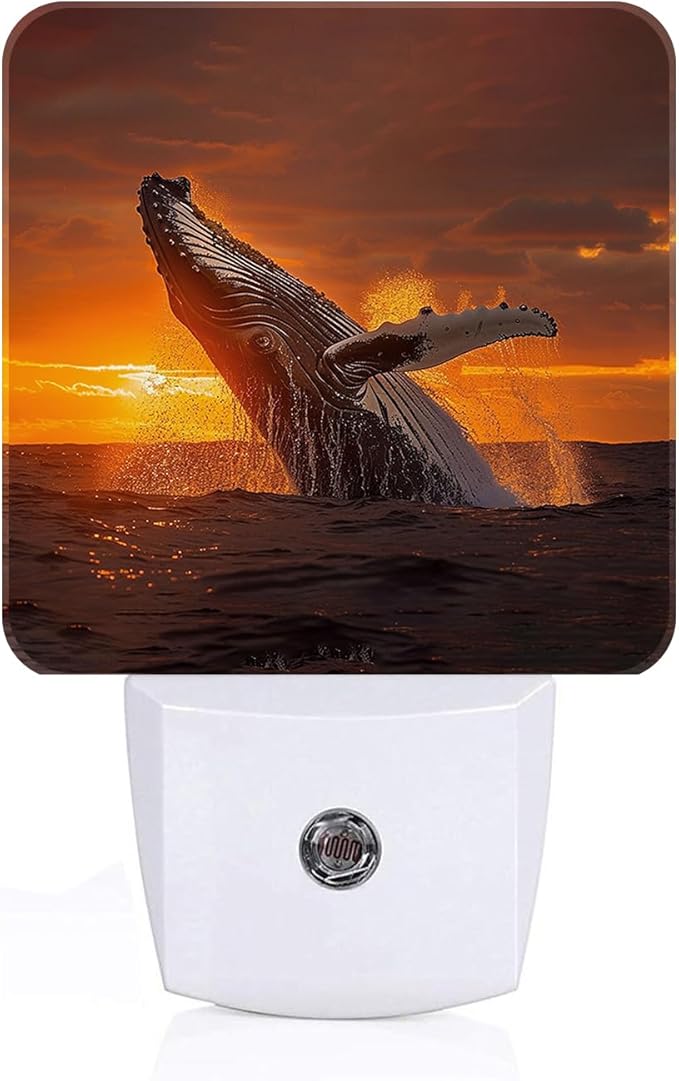 Sunset Humpback Whale Night Light,Plug Into Wall for Boys Girls Bedroom Decorative Square Night Light Lamp 0.5w Sleep Friendly