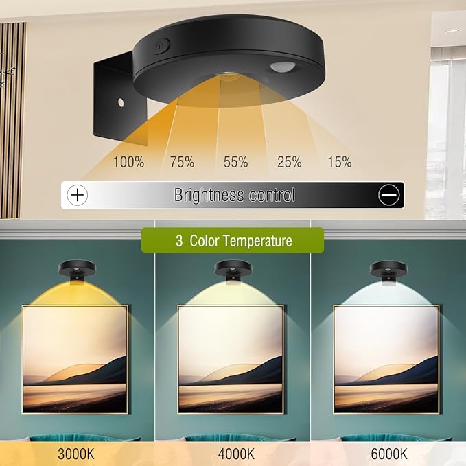 3Pack LED Picture Lights for Wall Rechargeable Battery Picture Frame Light with Remote Wireless Magnetic Art Display Light Dimmable&Timer Wall Sconce for Painting Poster Artwork Home Lighting Decor
