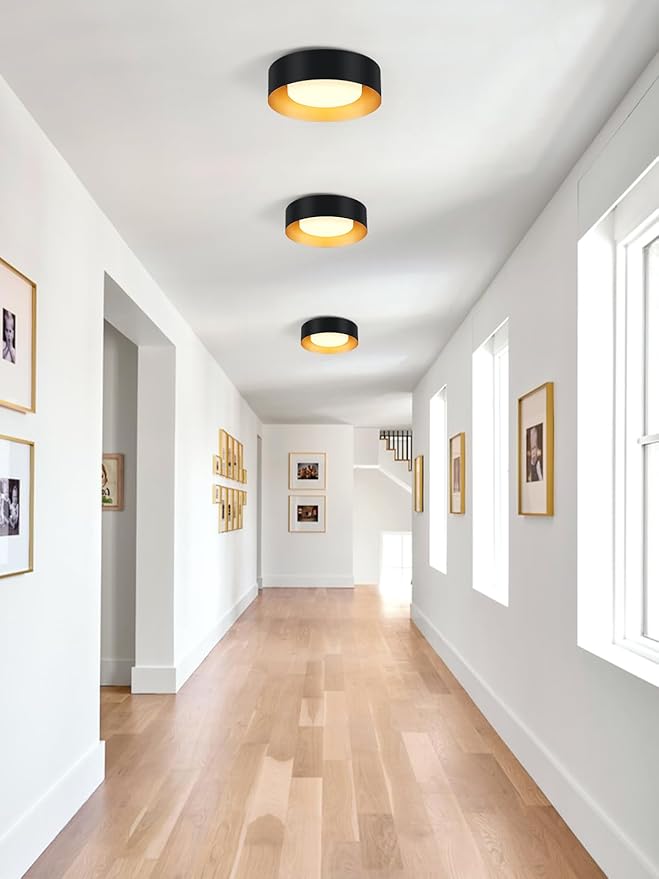 Modern Black and Gold Flush Mount Ceiling Lights, Glass Round Ceiling Lighting, Minimalist Drum Close to Ceiling Light Fixtures for Bedroom, Dining Room, Bathroom, Hallways, Living Room