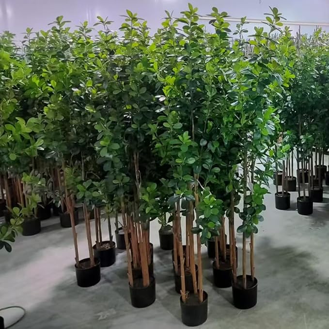 Premium 3 Main Trunks 5 ft Faux Black Olive Tree, Realistic Olive Trees Artificial Indoor, Low-Maintenance Fake Tree, Ideal Artificial Tree for Home Office Décor