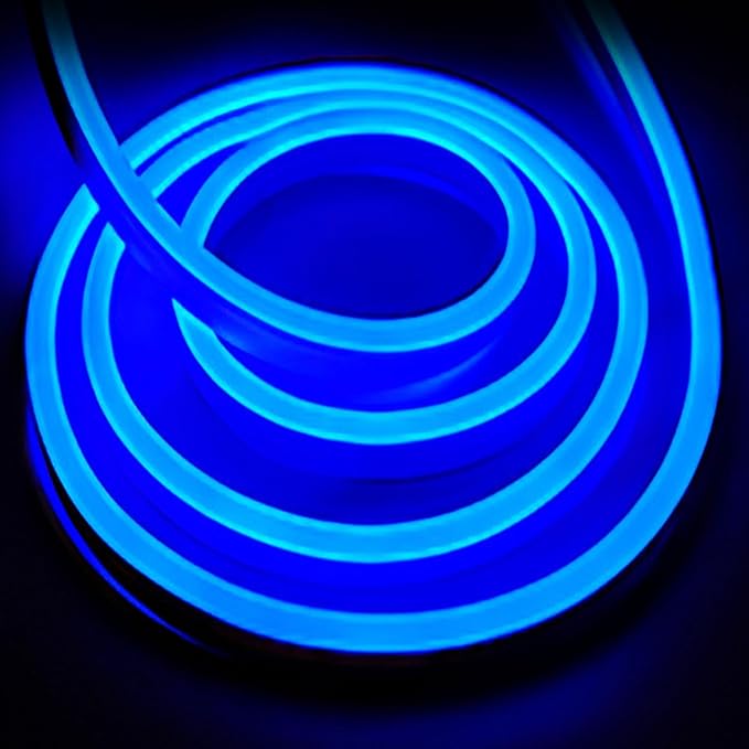 LED Neon Strip Lights, 6.6ft AC 110V-130V Super Bright Rope Light Sign String 4000LM Waterproof IP68 for Outdoor Indoor Commercial Lighting Decor(Blue)